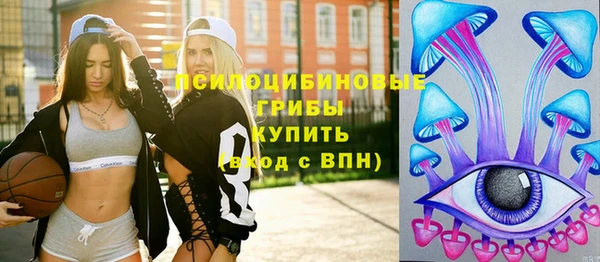 спиды Володарск