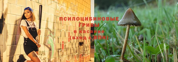 спиды Володарск