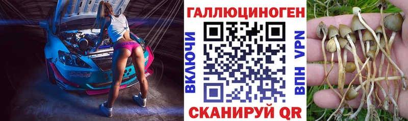 omg сайт  цены наркотик  Вуктыл  Галлюциногенные грибы мицелий 