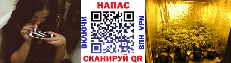 цена мега Конопля White Widow Вуктыл